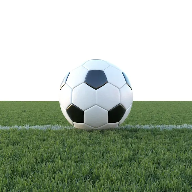 爱游戏体育 体育赛事背景